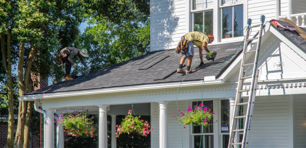 Best Roof Gutter Cleaning  in Moonachie, NJ